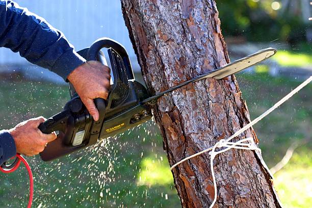 Soil Testing and Treatment in Mulberry, AR